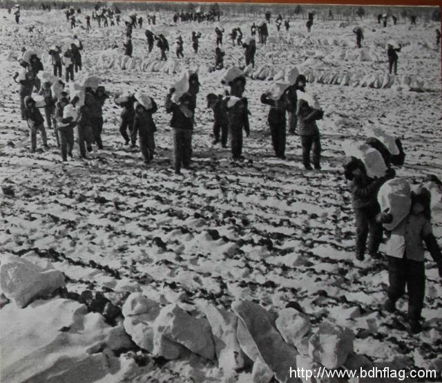 北大荒70年，我在北大荒等着你回来