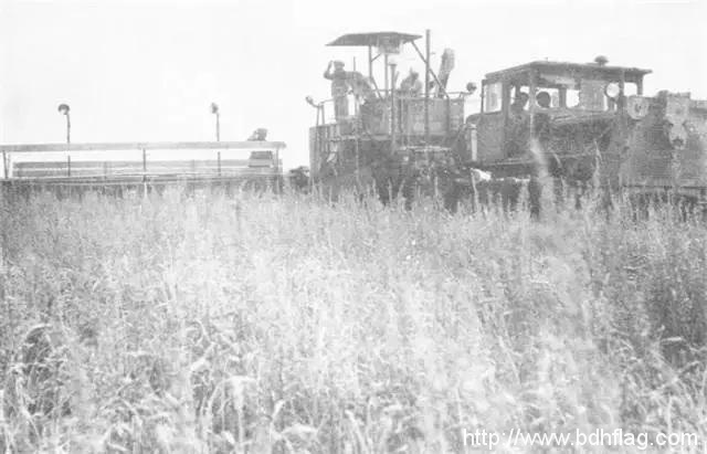 北大荒70年，我在北大荒等着你回来